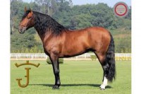 /album/fotogaleria/a18-espa-jpg/